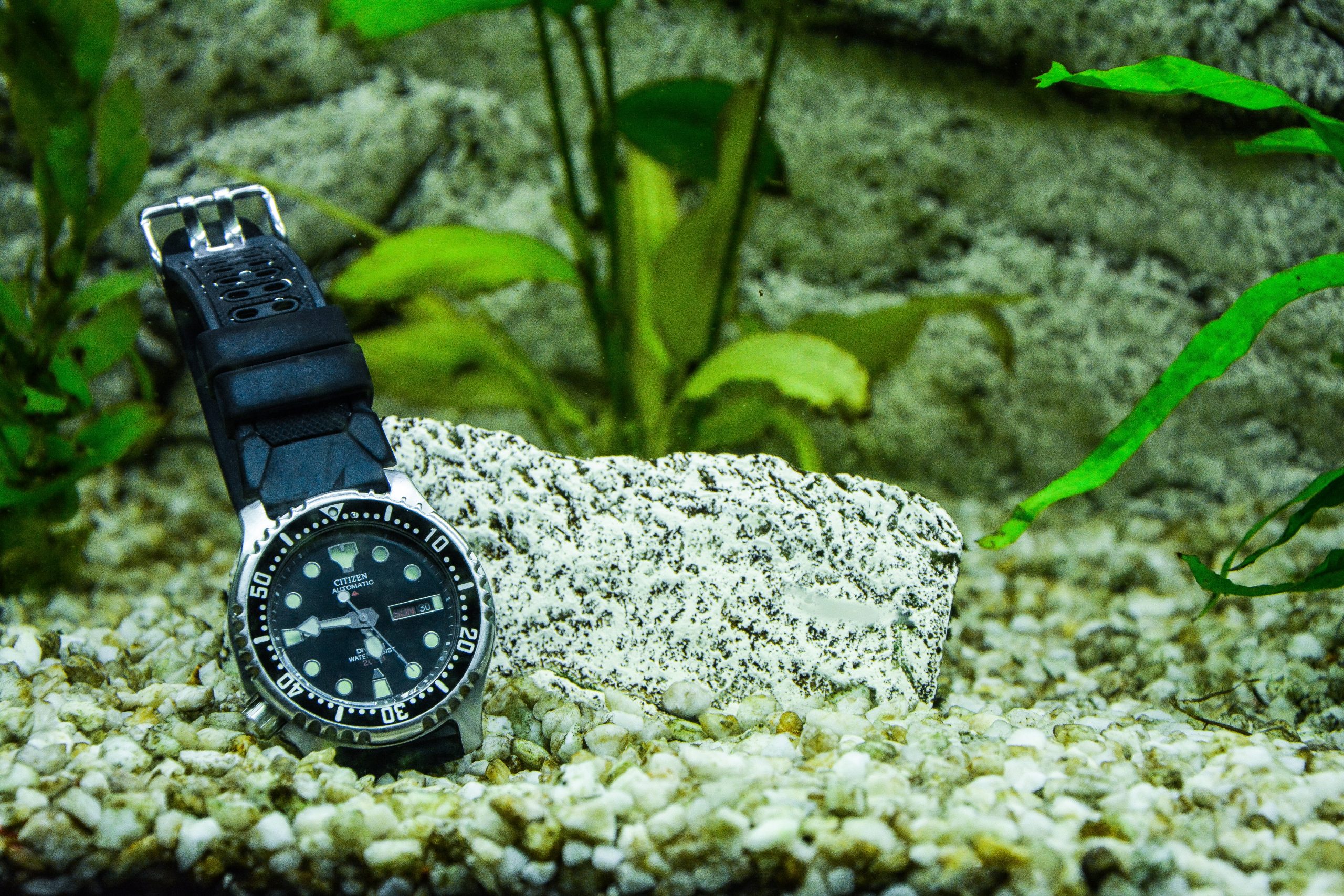 Unieke aquariummeubels: voordelen & mogelijkheden
